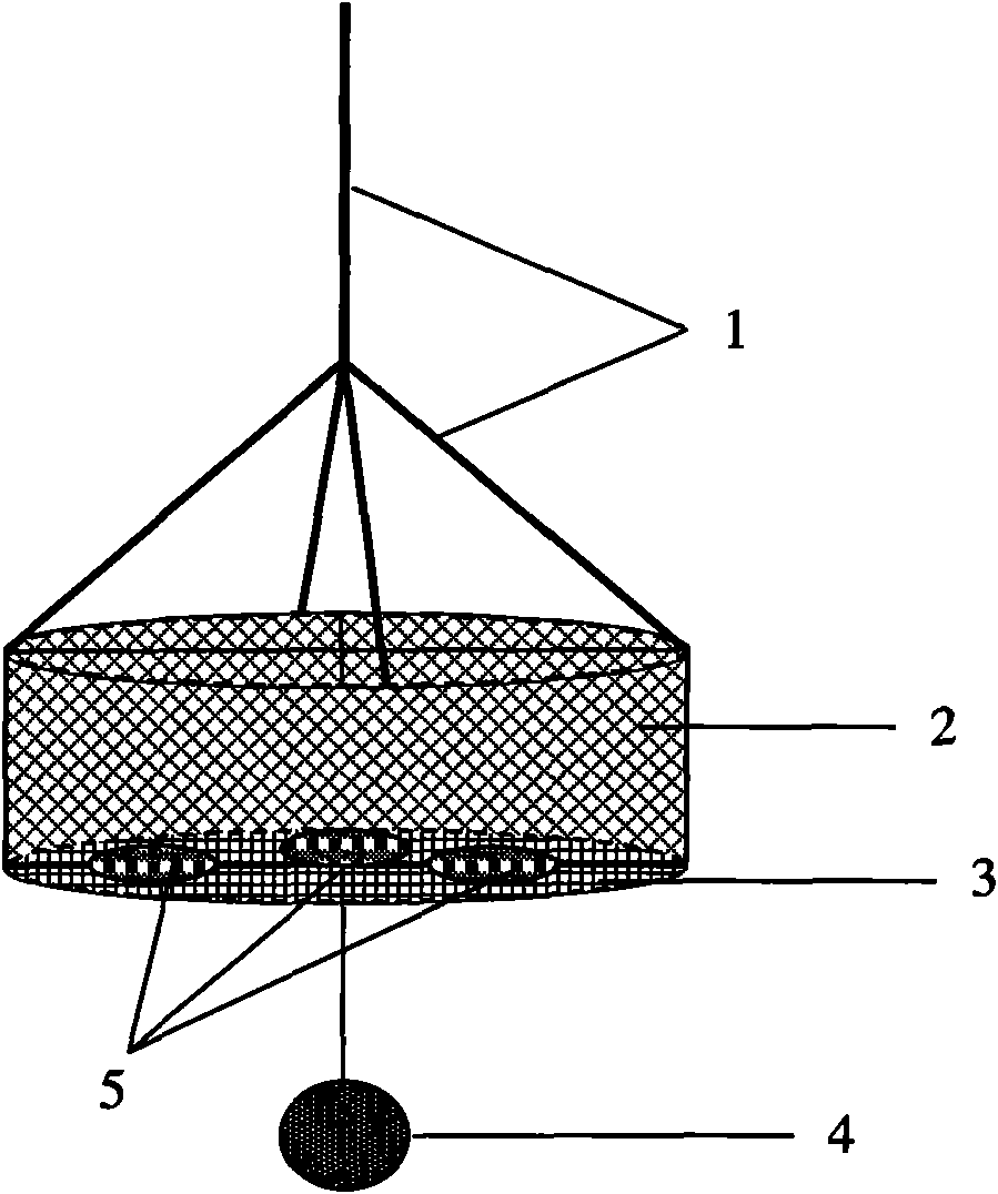 Sea cucumber culturing facility and culturing method applicable to marine net cage culture area