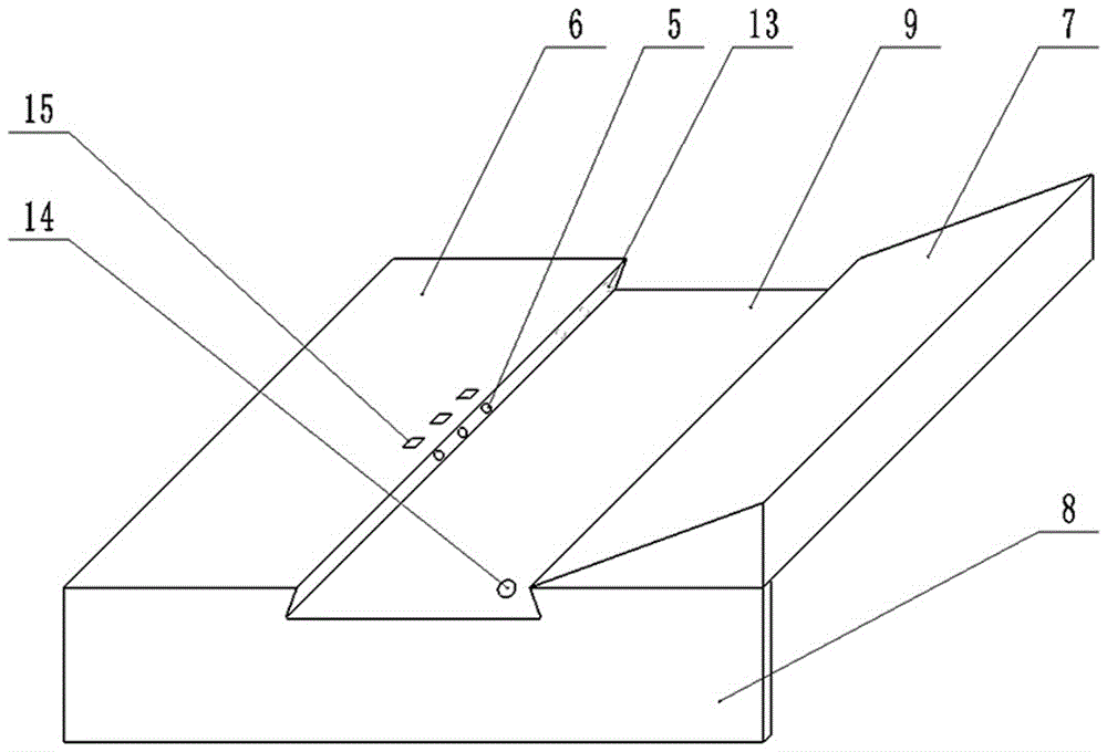 Device for establishing mouse hepatic cancer orthotopic transplantation tumor model