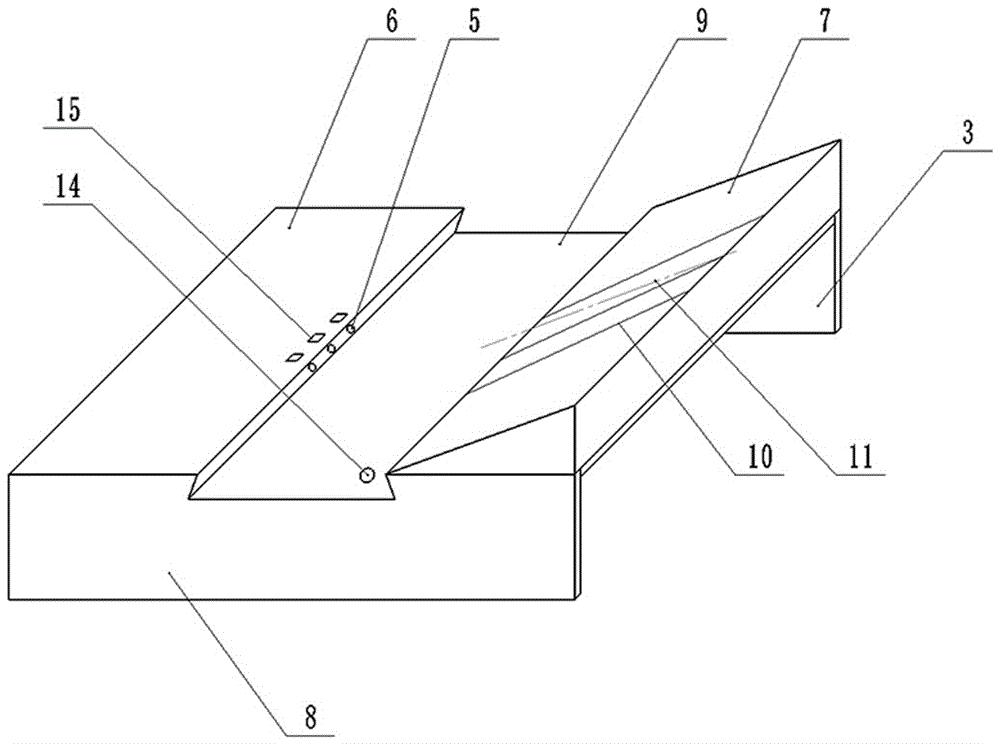 Device for establishing mouse hepatic cancer orthotopic transplantation tumor model