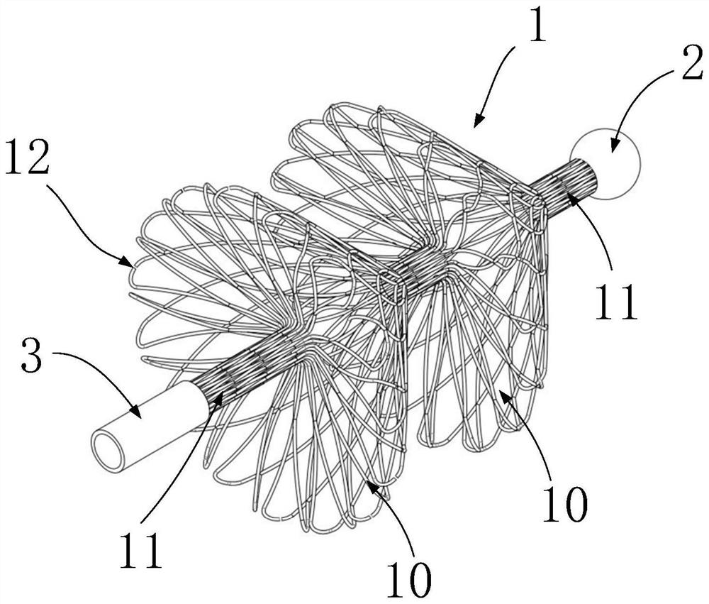 Calculus removing support and calculus removing device