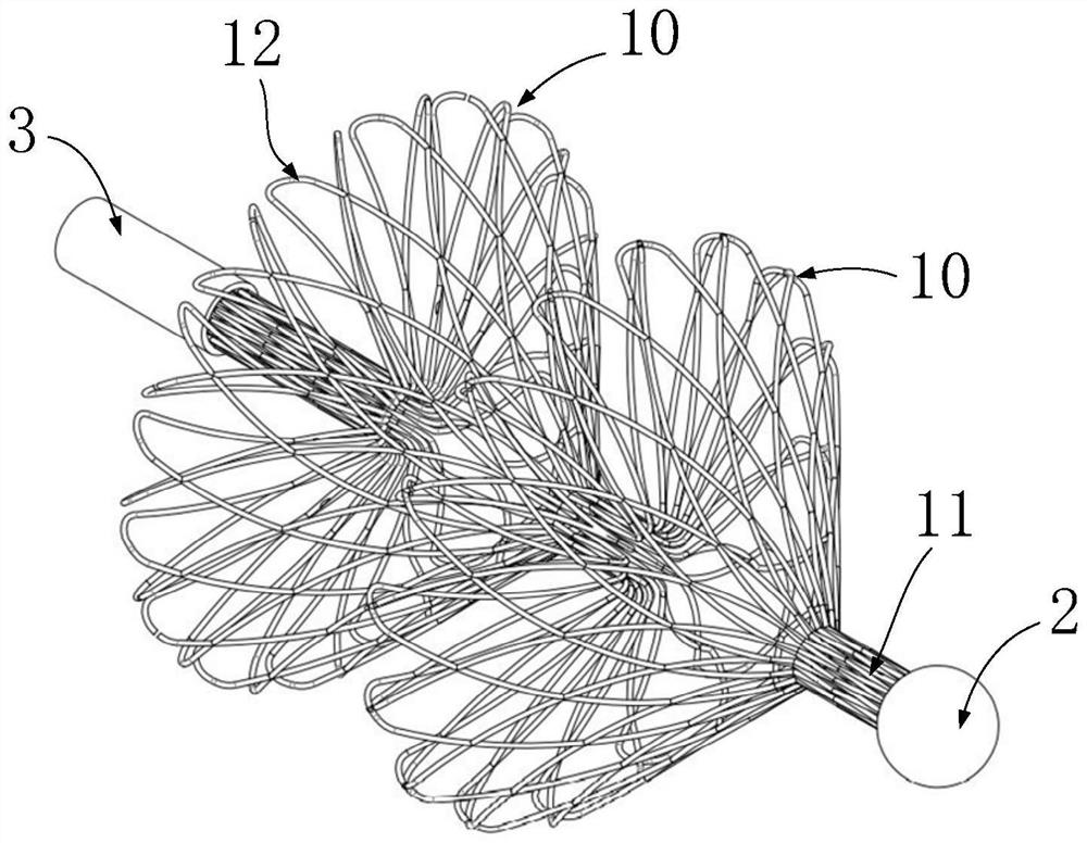 Calculus removing support and calculus removing device