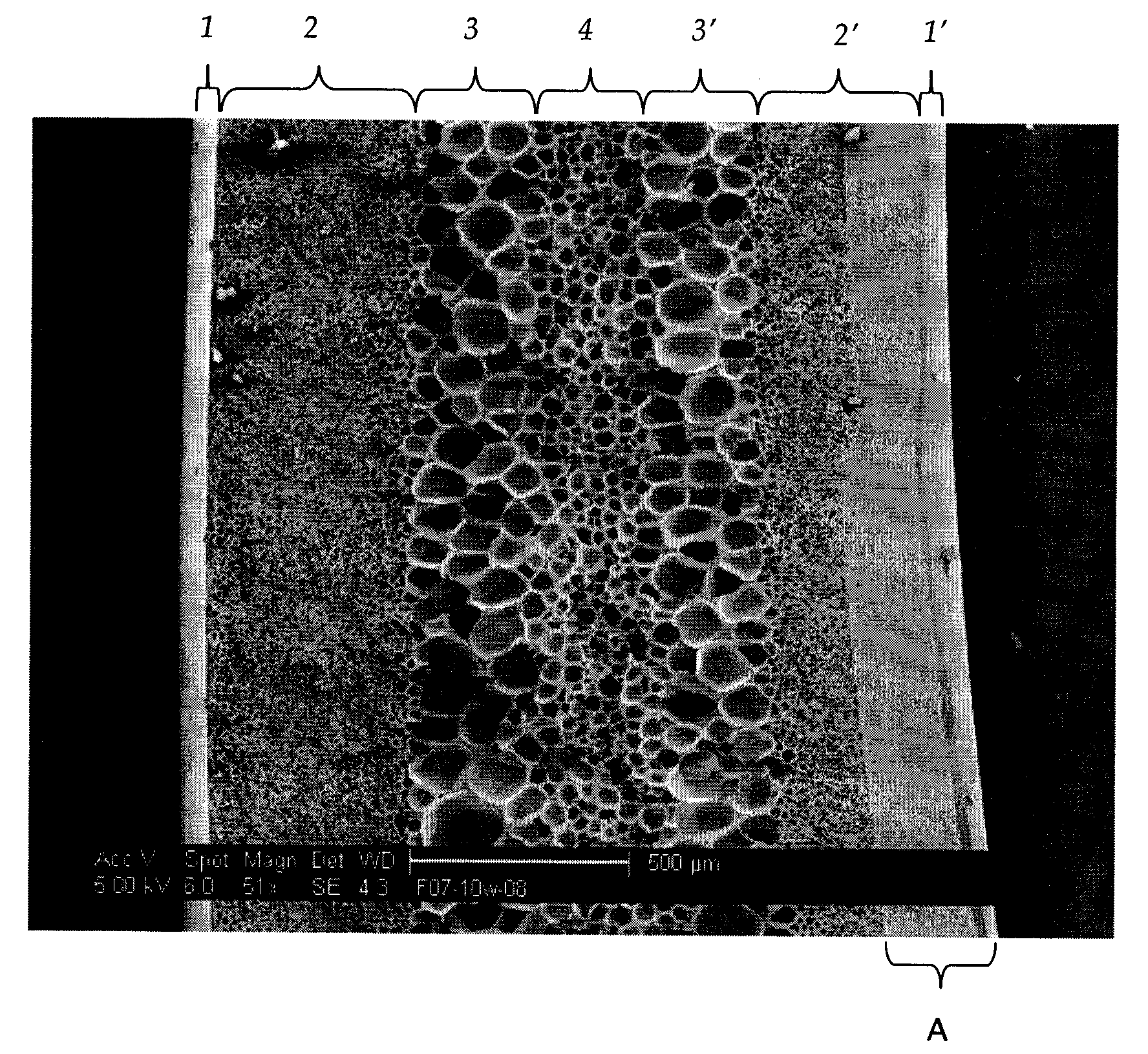 Multi-layered foamed polymeric objects and related methods