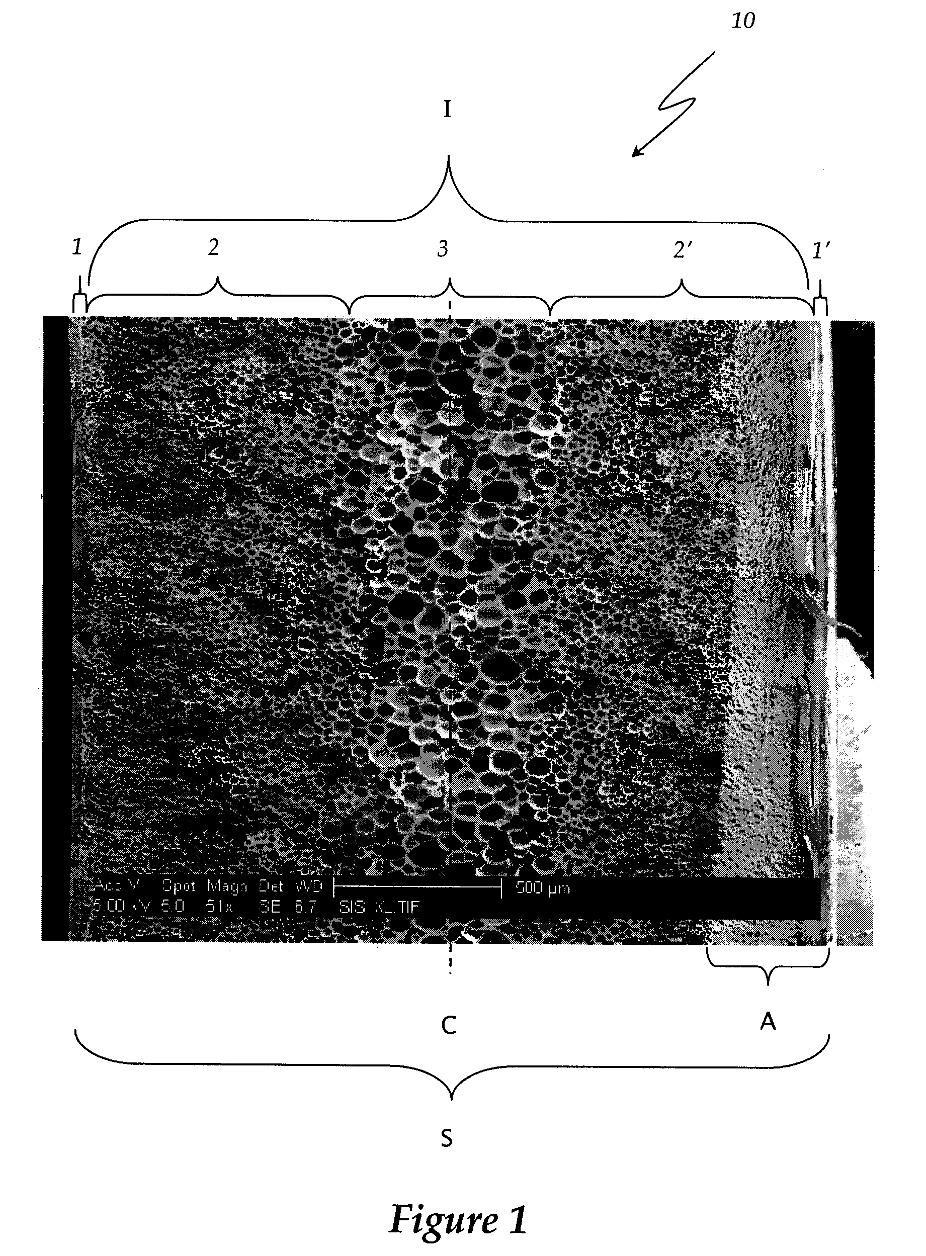 Multi-layered foamed polymeric objects and related methods