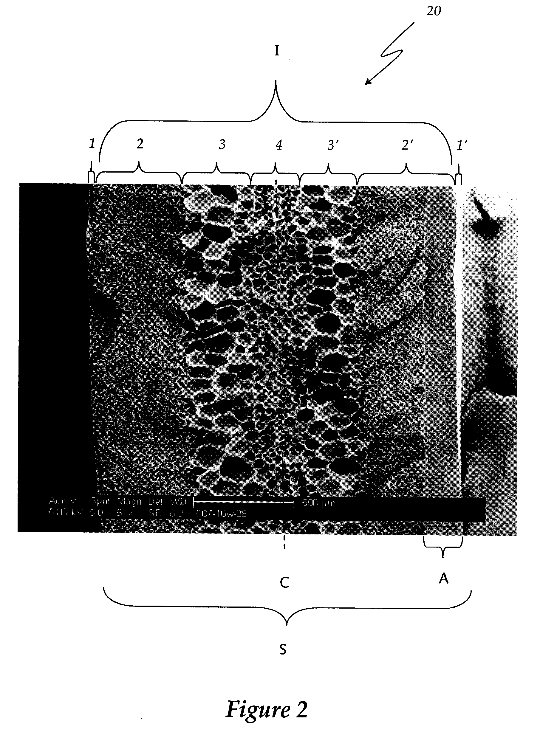 Multi-layered foamed polymeric objects and related methods