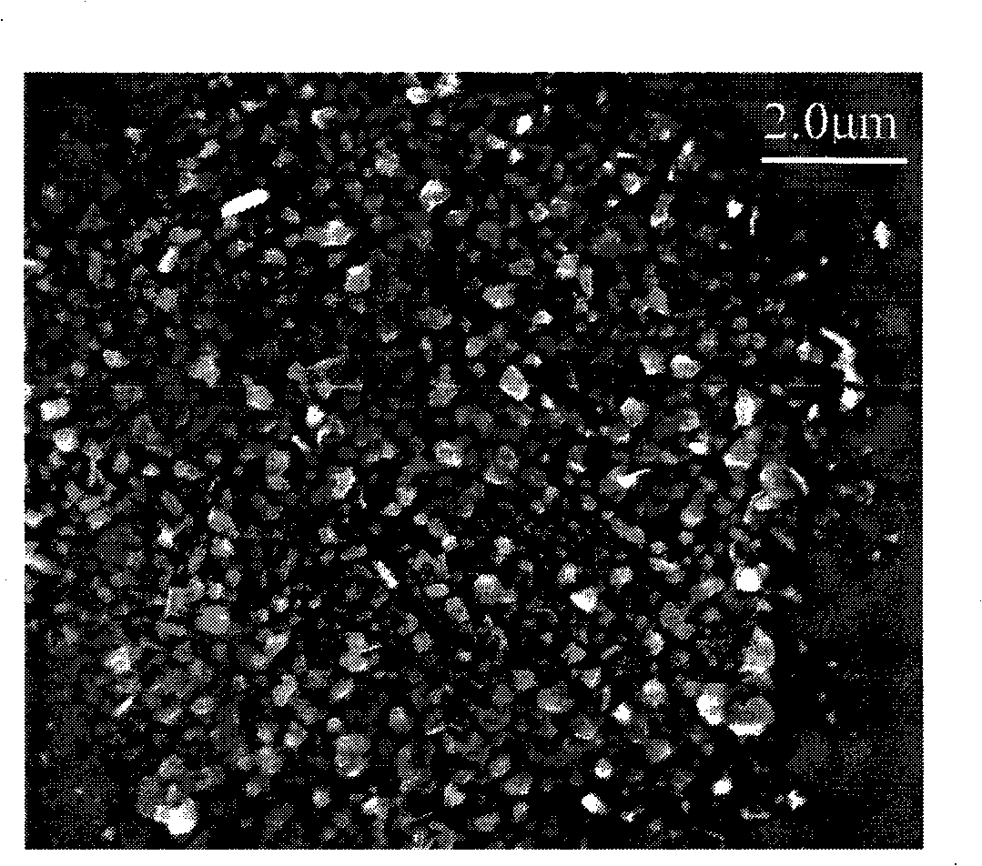 Method for preparing surface enhanced Raman scattering optical fiber probe