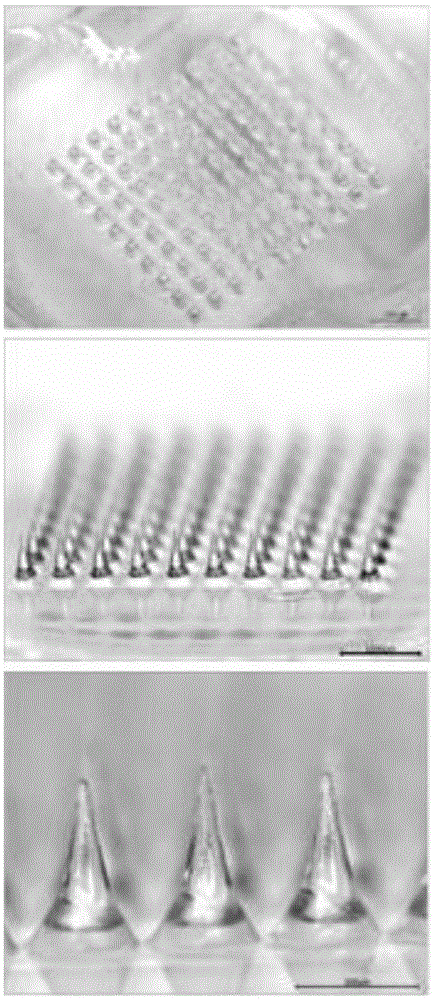 Macromolecular soluble microneedle used for cutaneous penetration of polypeptide and protein medicines and preparation method of macromolecular soluble microneedle