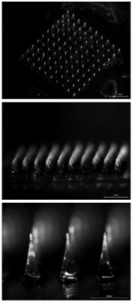 Macromolecular soluble microneedle used for cutaneous penetration of polypeptide and protein medicines and preparation method of macromolecular soluble microneedle