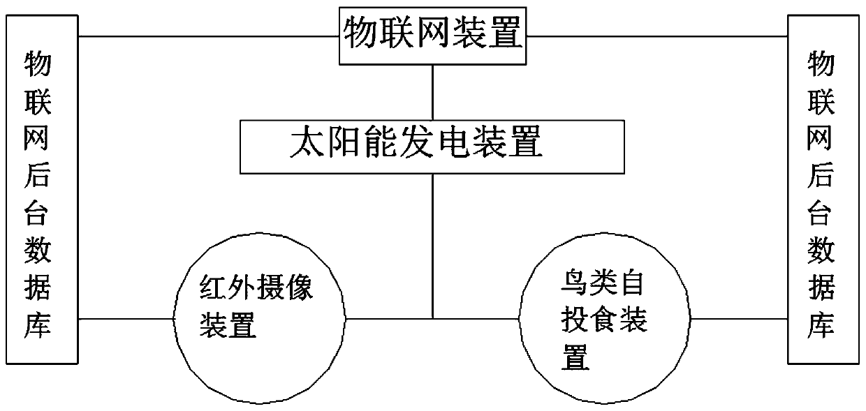 Automatic bird feeding and statistical device based on Internet of Things and suitable for forest