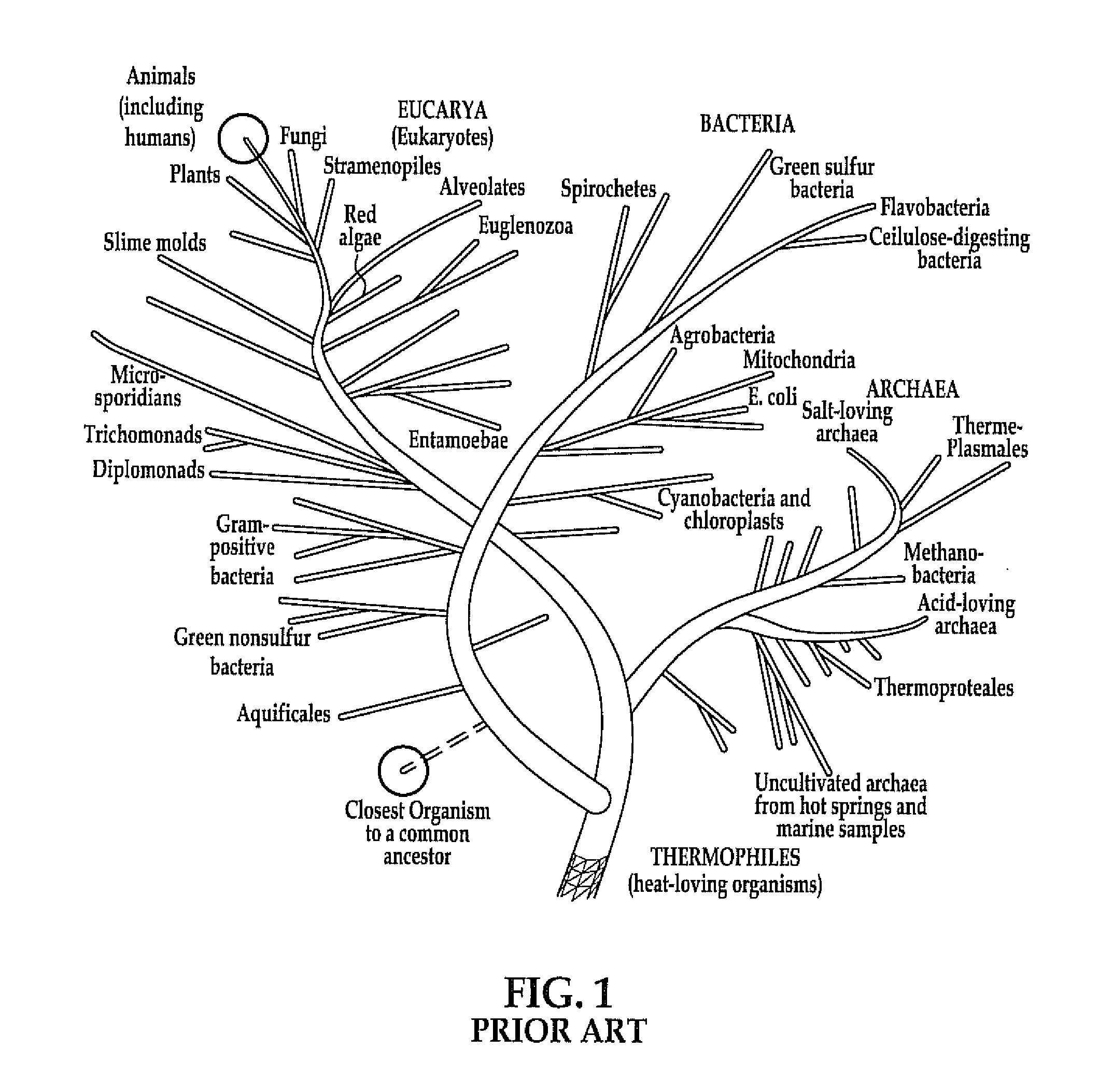 Biomodulators for treatment or prevention of disease