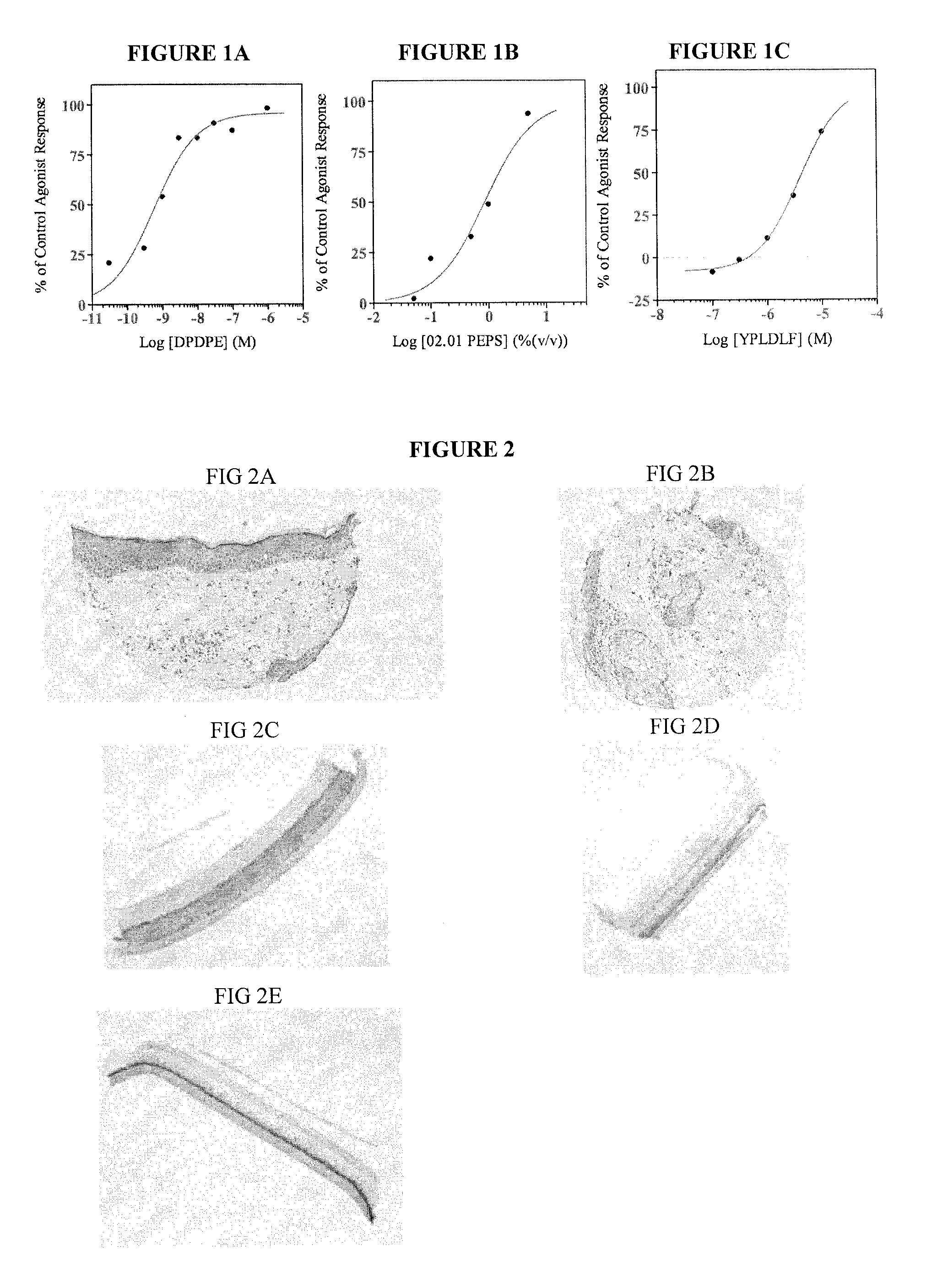 Uses of agonists of delta opioid receptor in cosmetic and dermocosmetic field