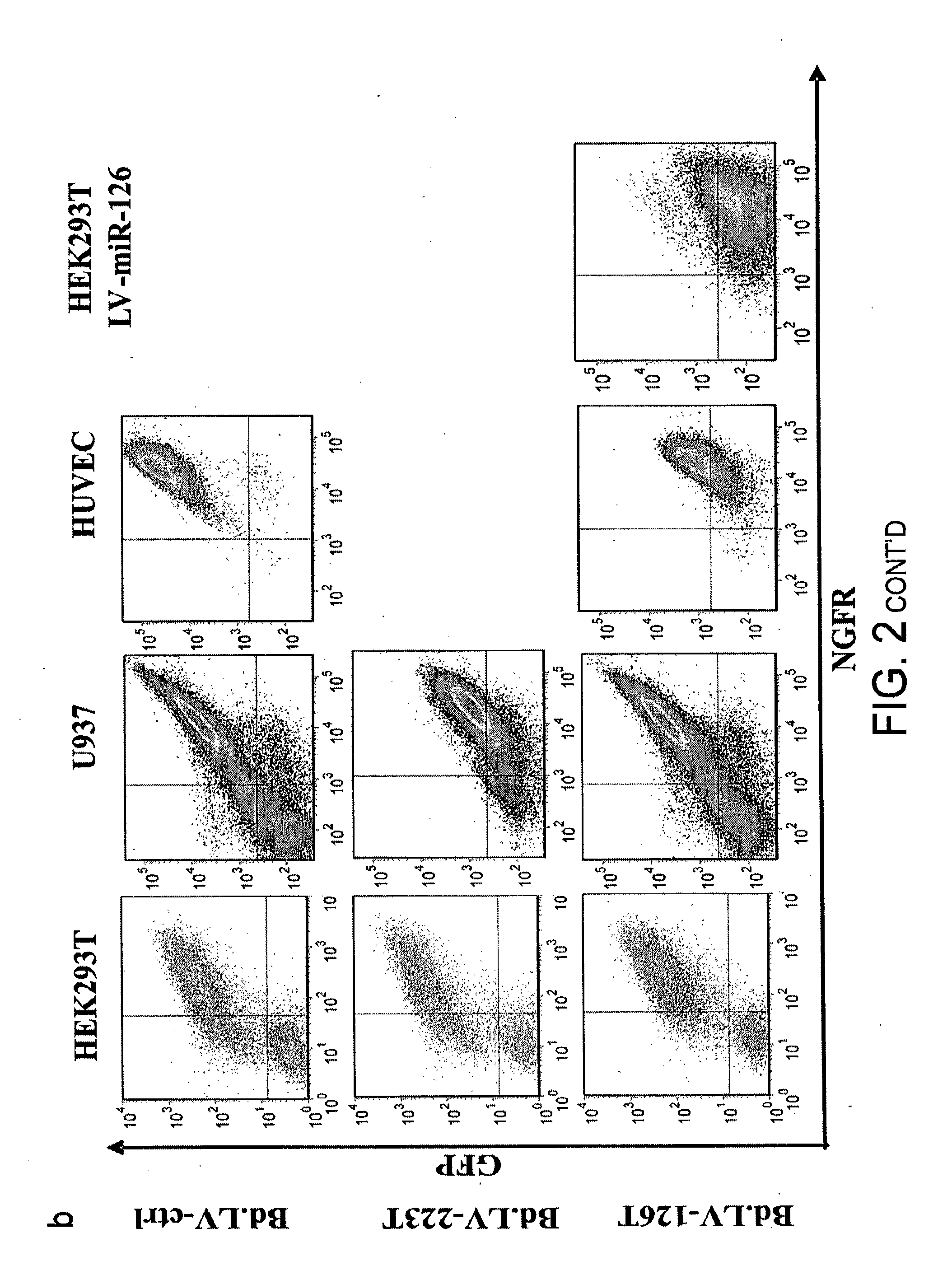 Gene vector