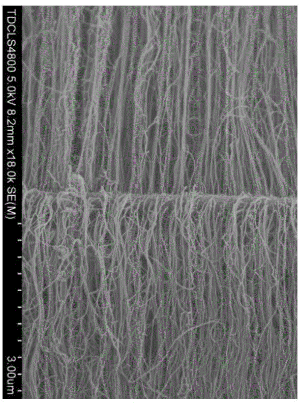 Carbon-based composite with high rebound resilience and high heat conductivity coefficient along thickness direction and preparation method of carbon-based composite