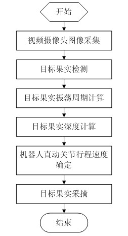 Picking method of picking robot under fruit oscillation condition