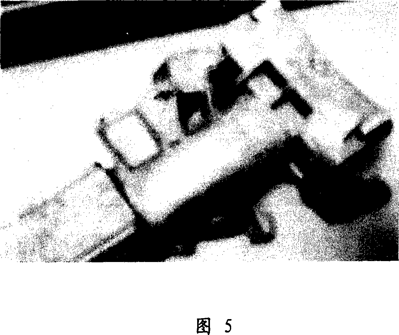 Method for processing surface of magnesium alloy