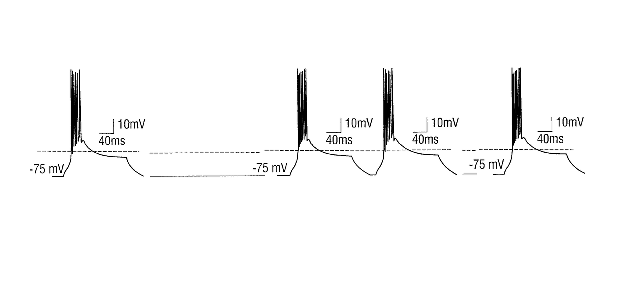 Stimulation design for neuromodulation