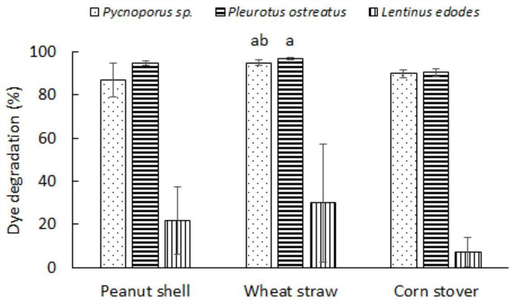 Method for treating dye wastewater by using biomass and fungi