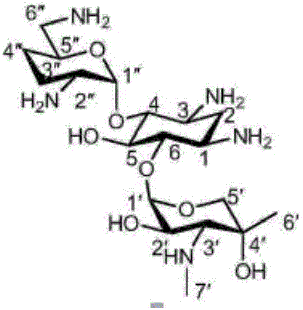 Preparation method for gentamicin C1a