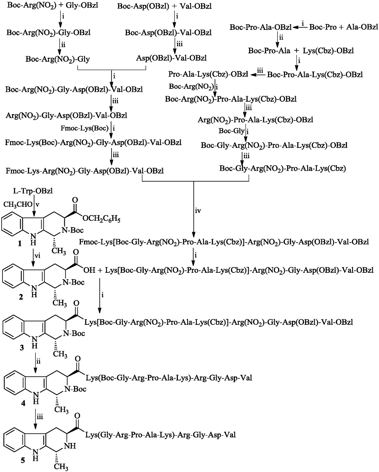 1R-methyl-beta-tetrahydro carboline acyl-K(GRPAK)-RGDV, synthesis thereof, activity thereof and applications thereof