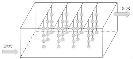 Application method of a kind of sulfur autotrophic denitrification biological carrier in anoxic pond