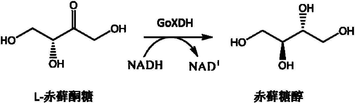 Production method of L-erythrulose and erythritol