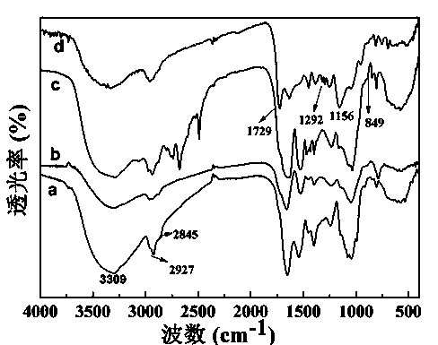 Method for preparing saccharomycete surface atom transfer imprinted adsorbent