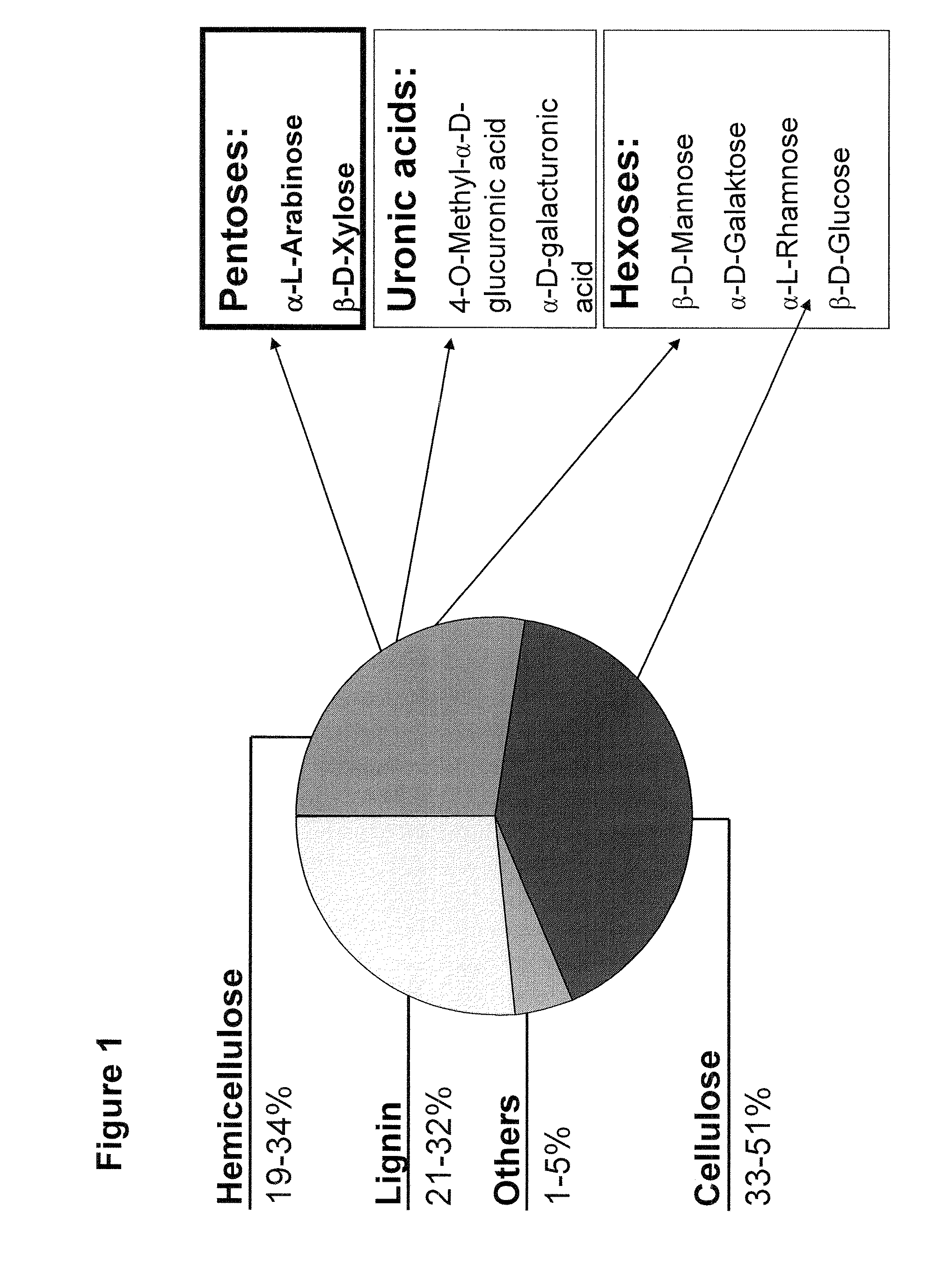 Novel Specific Arabinose Transporter from the Yeast Pichia Stipitis, and Uses Thereof