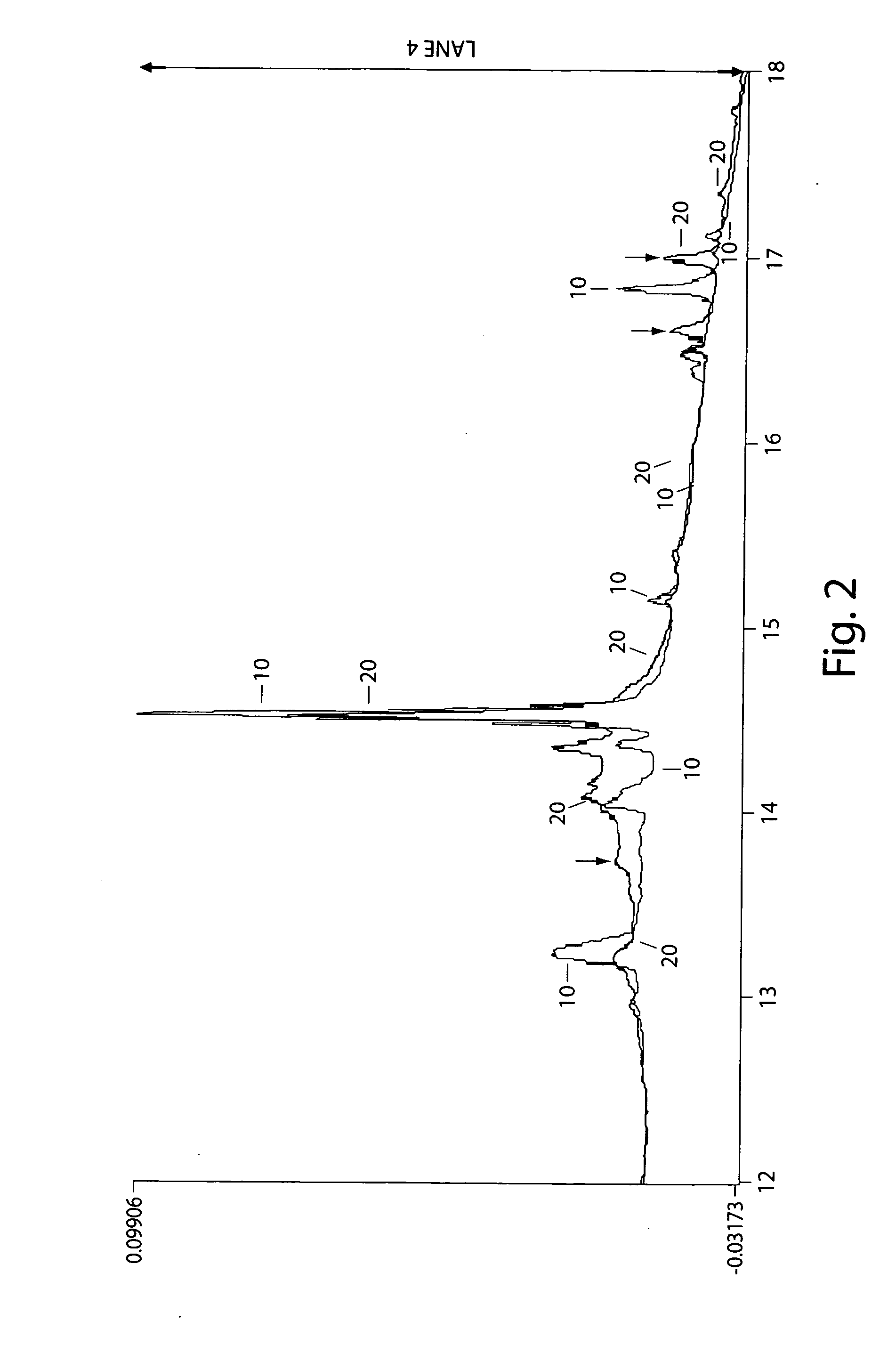 Systems and methods for characterization of molecules