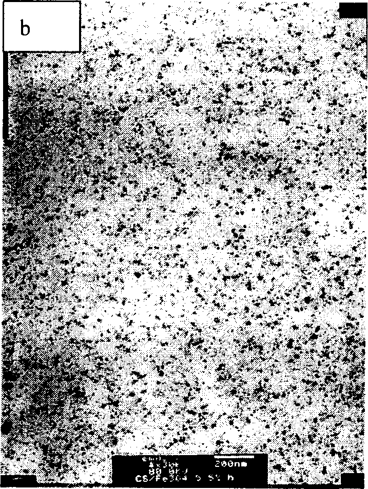 Method for preparing ordered ferriferrous oxide/chitosan nanometre composite material