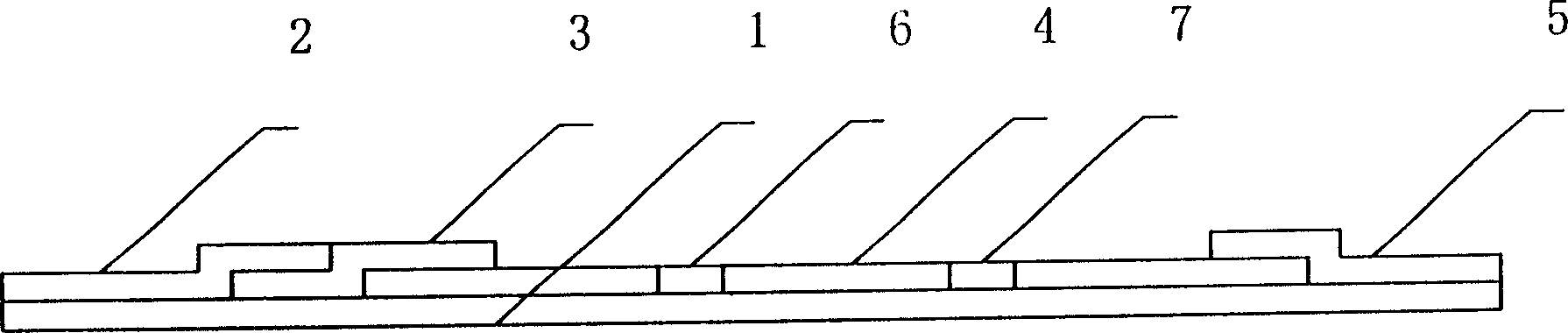 Test paper for testing afatoxin by nontoxic system immunochromatographic techniqul and preparing process thereof