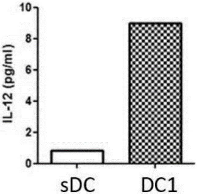 Kit for activating ovarian cancer specific immunity response