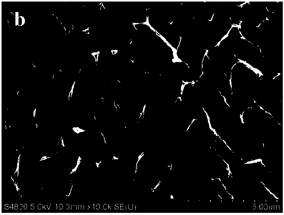 A kind of carbon thin film, activated carbon thin film and its preparation method and supercapacitor