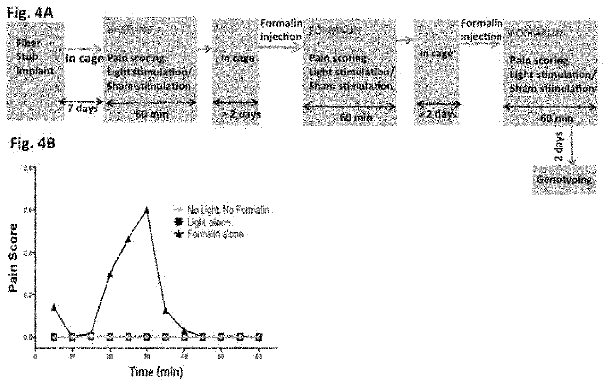 Method and device for pain modulation by optical activation of neurons and other cells