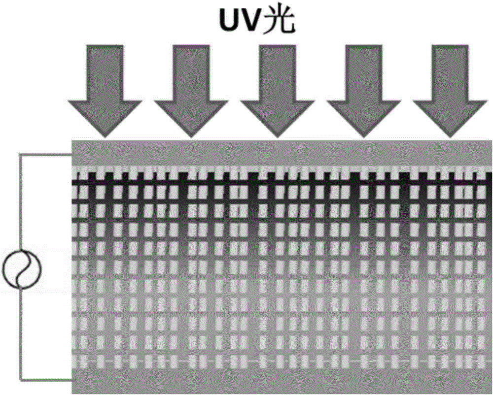 Device for improving optical orientation of sleeve cutting type panel