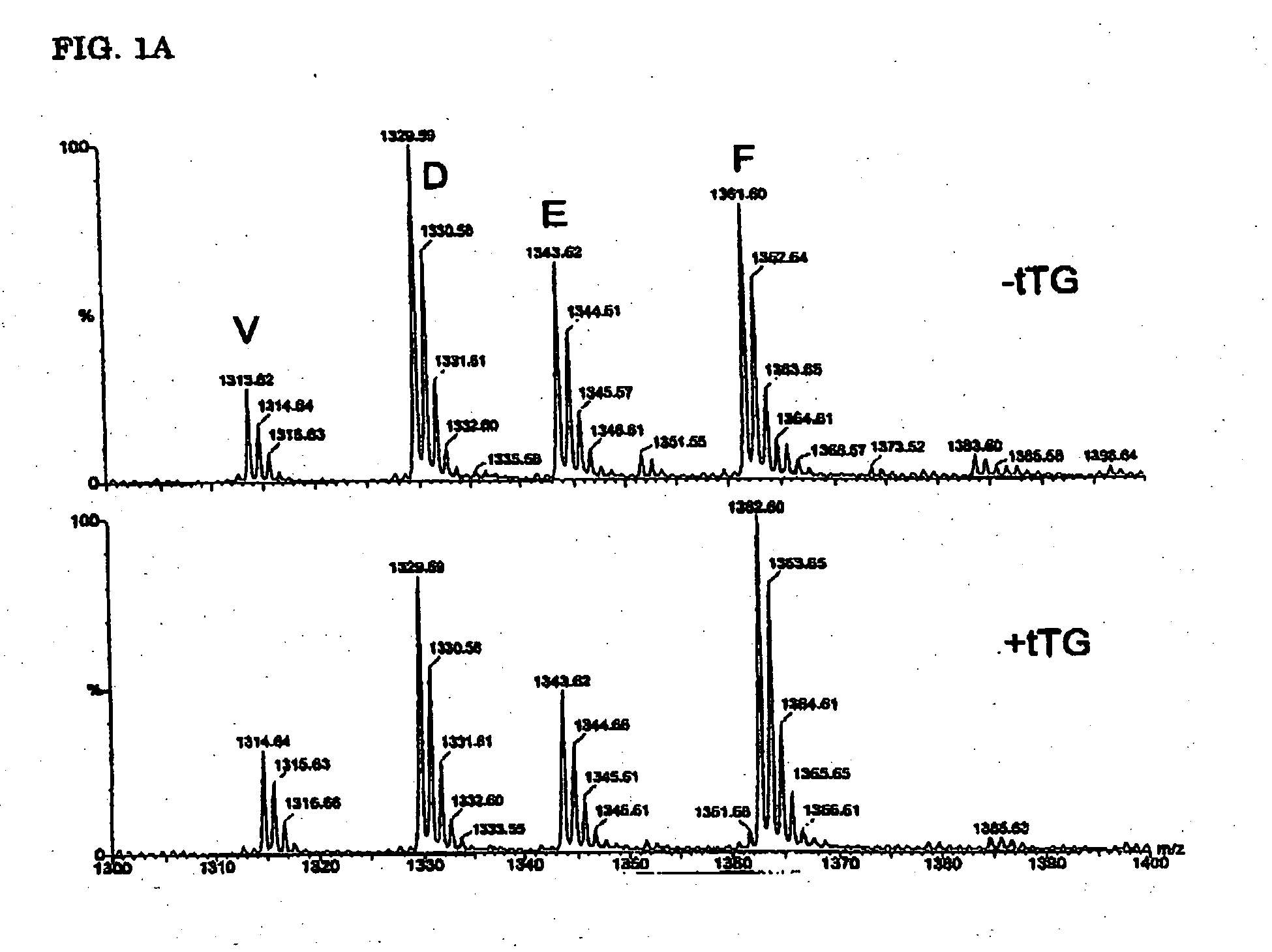 Novel epitopes for celiac disease and autoimmune diseases, methods for detecting those and novel non-antigenic food compounds