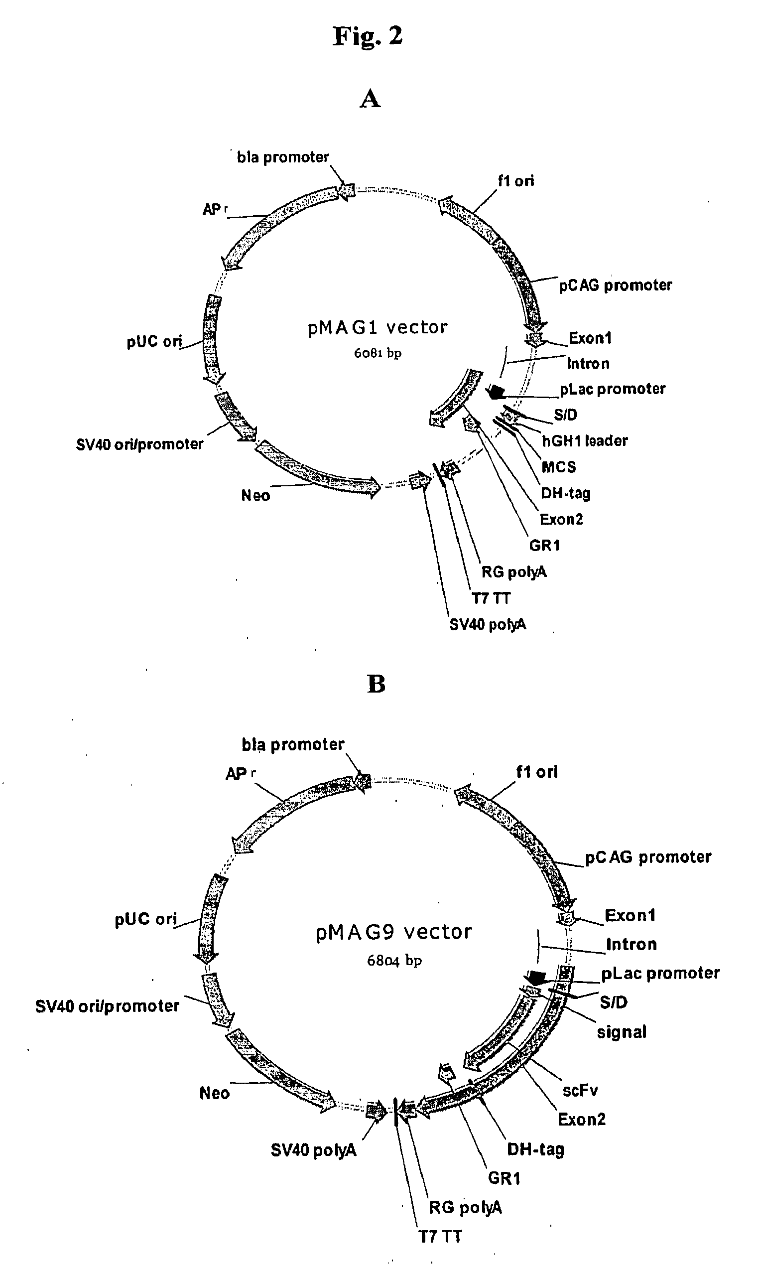 Cross-Species and Multi-Species Display Systems