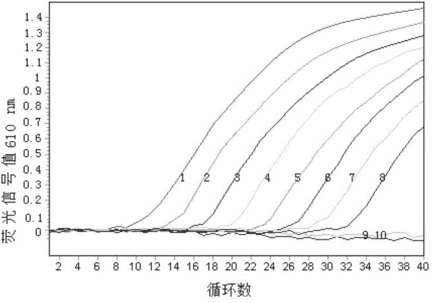 Duplex fluorescence quantitative RT-PCR (reverse transcription-polymerase chain reaction) detection kit for duck tembusu virus and egg drop syndrome virus