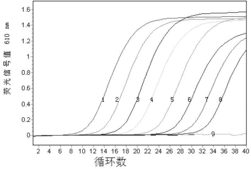 Duplex fluorescence quantitative RT-PCR (reverse transcription-polymerase chain reaction) detection kit for duck tembusu virus and egg drop syndrome virus