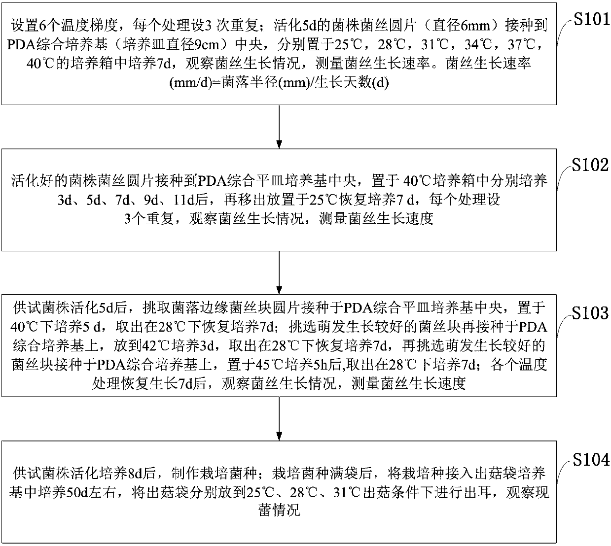 Indoor screening method of high-temperature-resistant auricularia auricula-judae strains