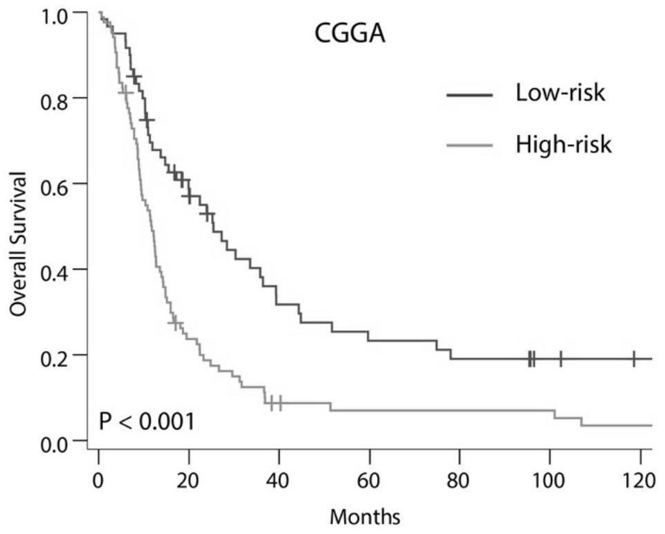 Marker used for predicting isocitrate dehydrogenase 1 gene wild-type glioma prognosis and anti-PD1 treatment curative effect, and application of marker