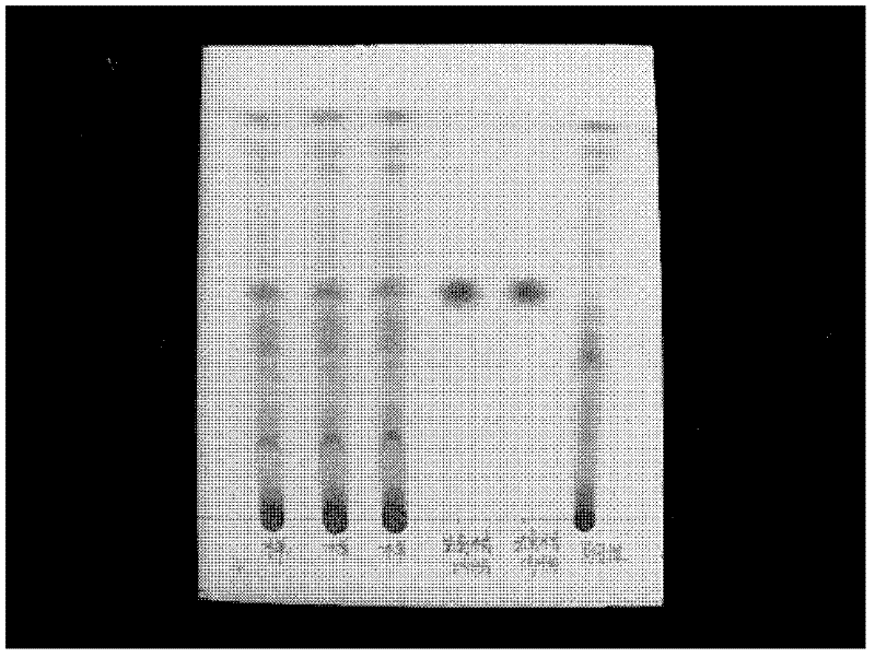 Method for detecting eighteen-component codonopsis pilosula preparation