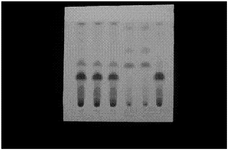 Method for detecting eighteen-component codonopsis pilosula preparation