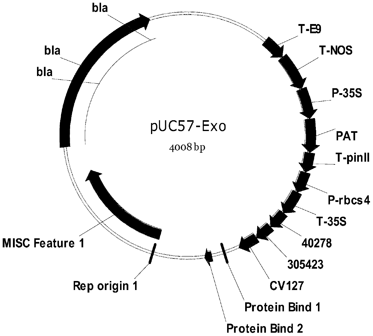 DNA standard sample for transgenic component detection and application of DNA standard sample