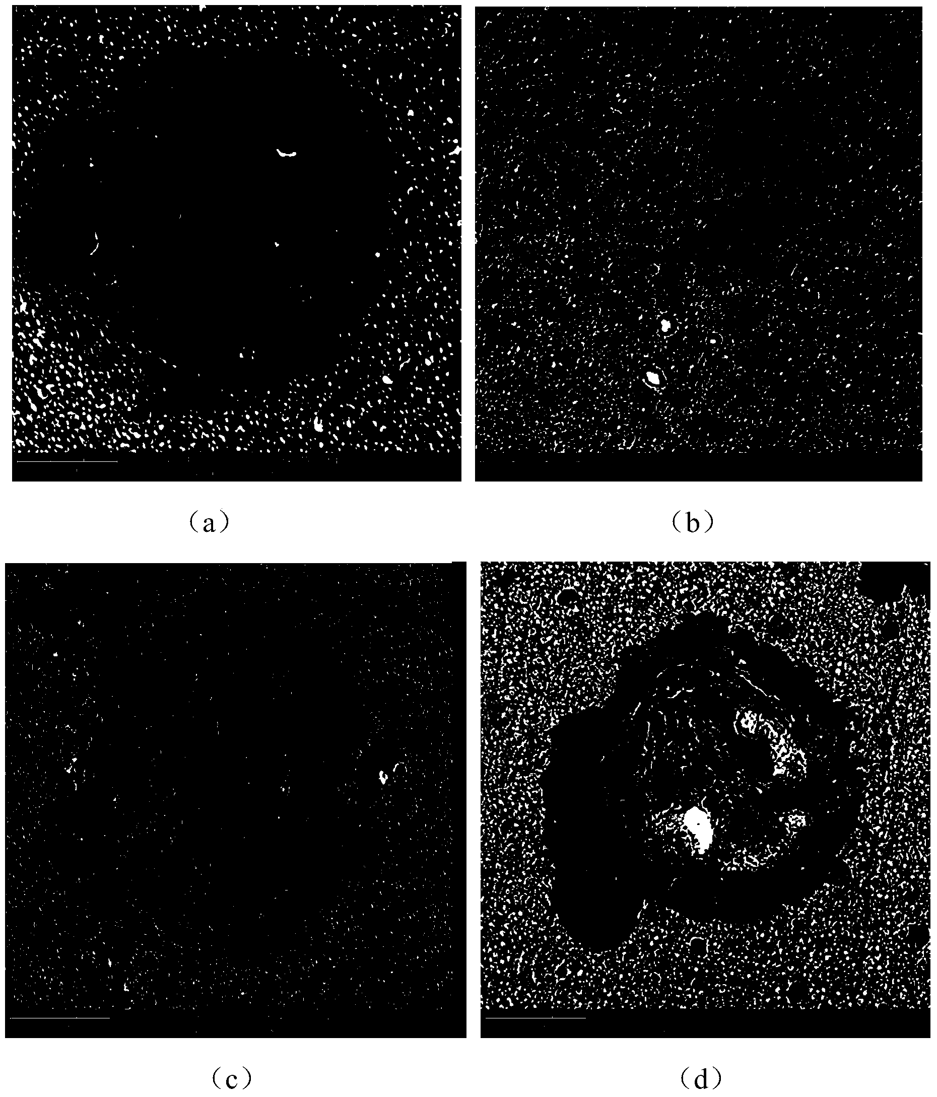 Method for testing high-frequency fatigue characteristic of material under microscale