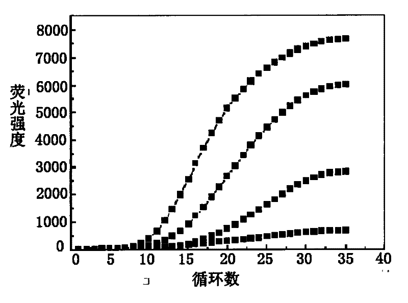 Primer design method for amplifying low-content gene mutation DNA and application thereof