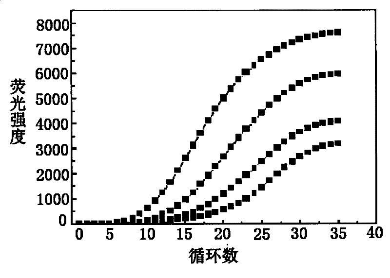 Primer design method for amplifying low-content gene mutation DNA and application thereof