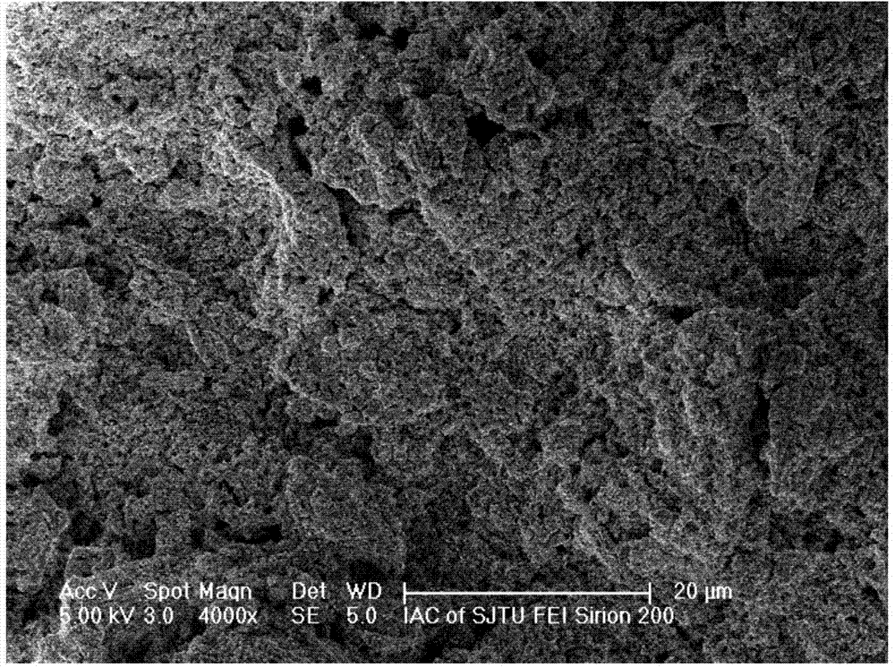 Solid oxide fuel cell and preparation method thereof