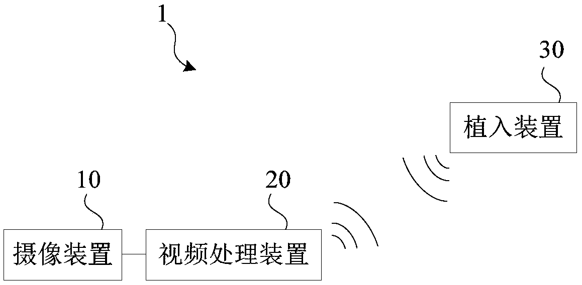 Video processing device and method for retina stimulator, and retina stimulator