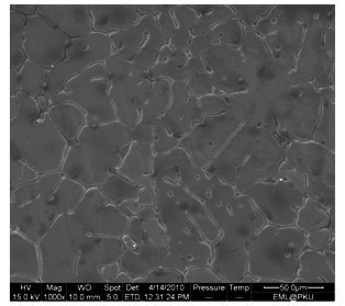 Medical degradable and absorbable Mg-Sr-Ca series magnesium alloy implant and preparation method thereof