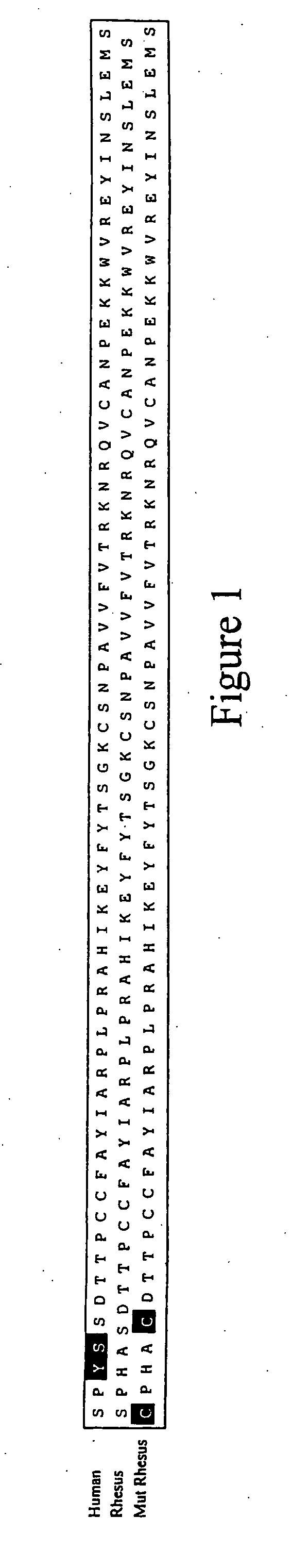 Expression of virus entry inhibitors and recombinant AAV therefor