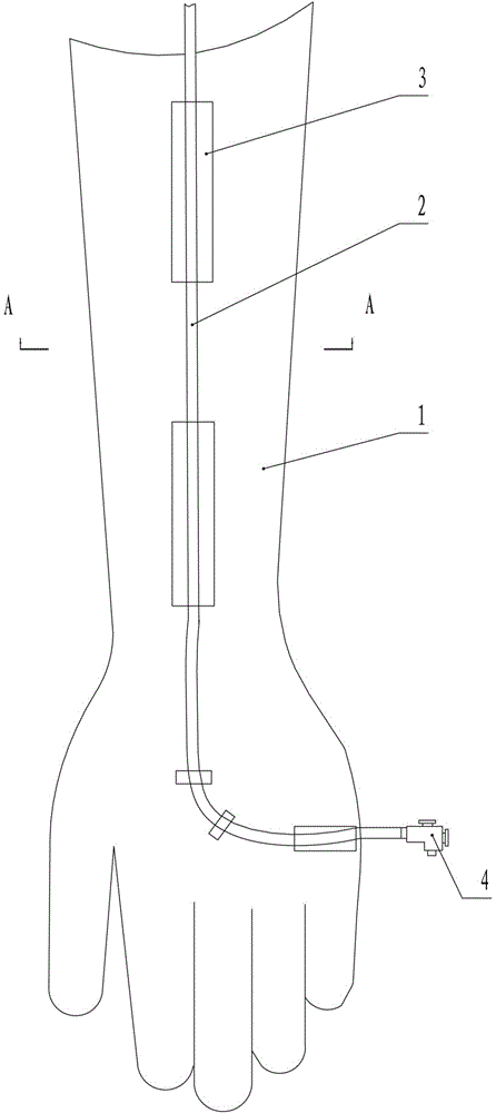 Vein puncture training tool